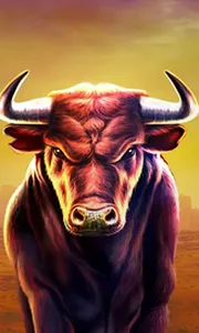 Black Bull